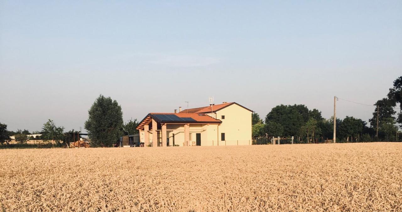 B&B Casa Egle Corbola Exterior photo